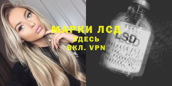 винт Алзамай