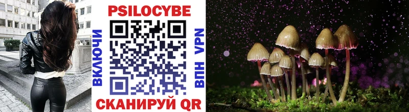 купить наркоту  Саров  Галлюциногенные грибы Magic Shrooms 