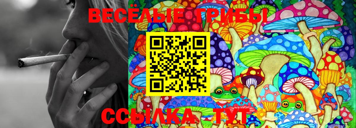 закладка  Псилоцибиновые грибы Magic Shrooms  Вход с VPN  Саров 